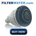 Shower Head Cleaning