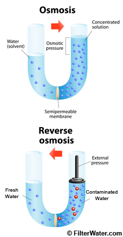 Regular and Reverse Osmosis Operating Principle