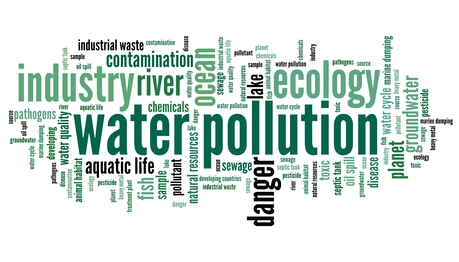 Giardia Water Pollution 72