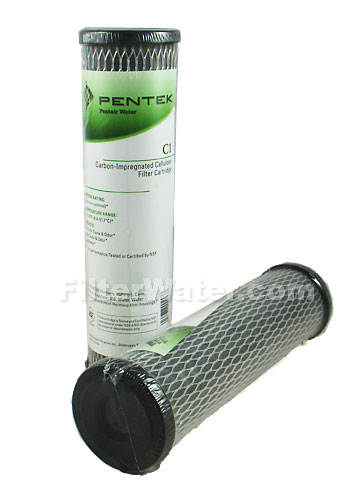 PTK-C1-155002 Pentek C1 Carbon Filter 155001-43 10"x2.5"